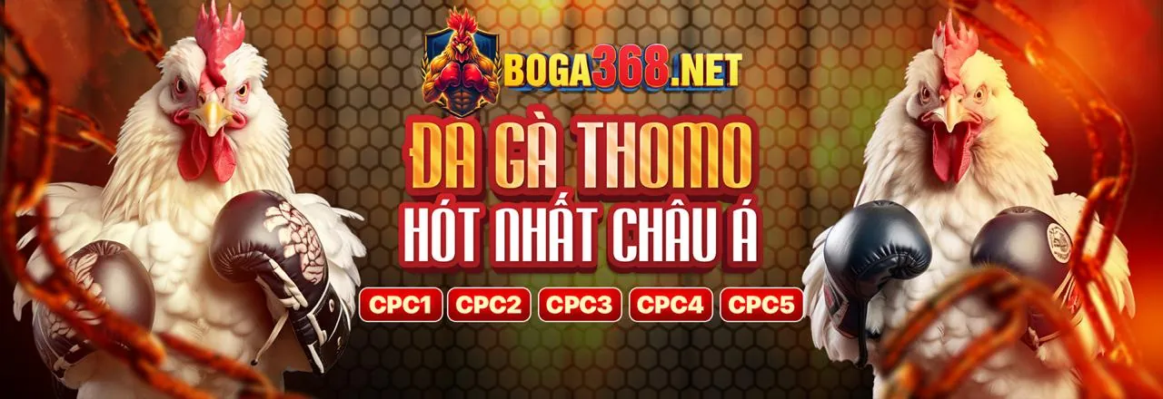 Sân vận động bóng đá với ánh đèn rực rỡ và không khí sôi động của cá cược thể thao gb88 bet