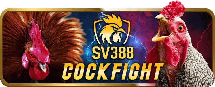 Cá cược thể thao gb88 bet